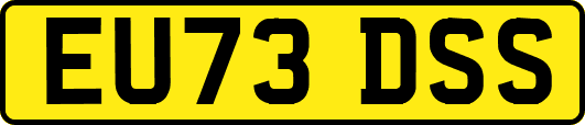 EU73DSS