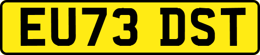 EU73DST