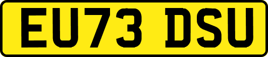 EU73DSU
