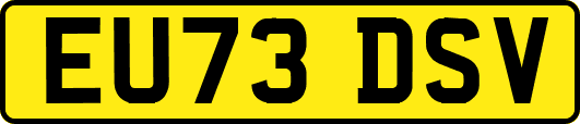 EU73DSV