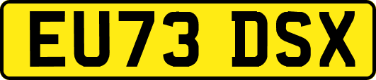 EU73DSX