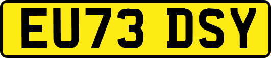 EU73DSY