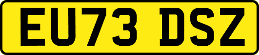 EU73DSZ