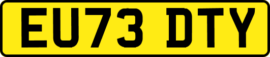 EU73DTY