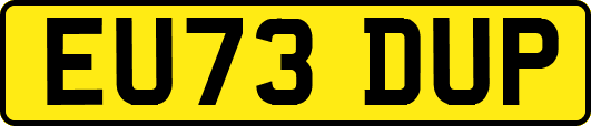 EU73DUP