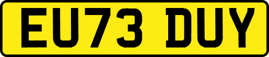EU73DUY