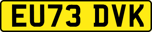 EU73DVK