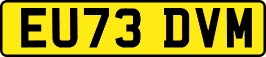EU73DVM
