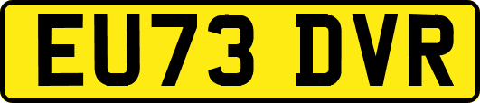 EU73DVR