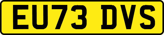 EU73DVS