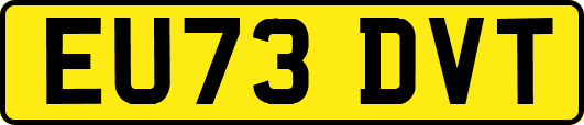 EU73DVT
