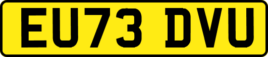 EU73DVU