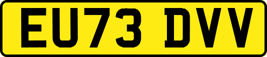 EU73DVV