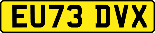 EU73DVX