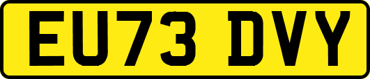 EU73DVY