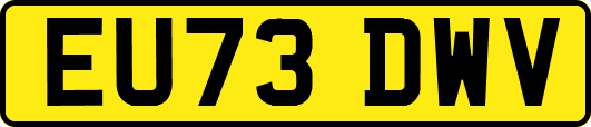 EU73DWV