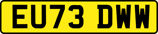 EU73DWW