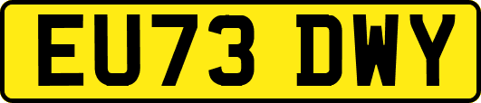 EU73DWY