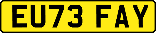 EU73FAY