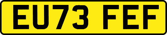 EU73FEF