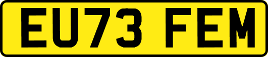 EU73FEM