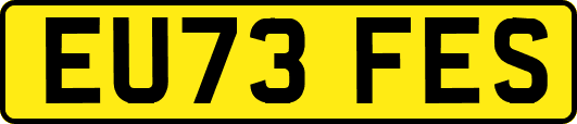 EU73FES
