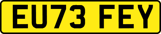 EU73FEY