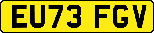 EU73FGV
