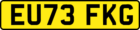 EU73FKG