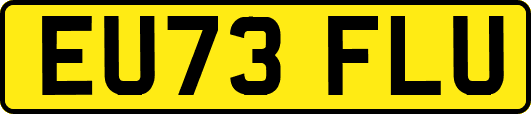 EU73FLU