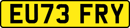 EU73FRY