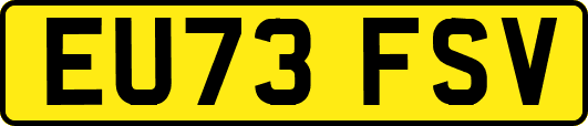 EU73FSV