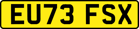 EU73FSX