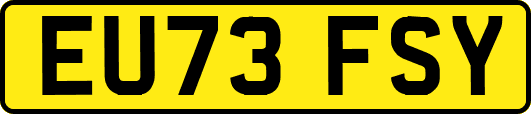 EU73FSY