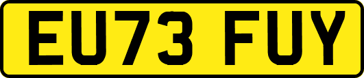EU73FUY