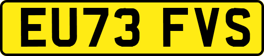EU73FVS