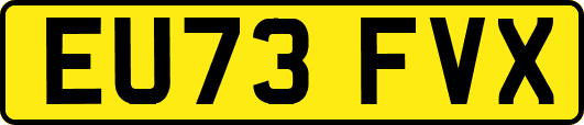 EU73FVX