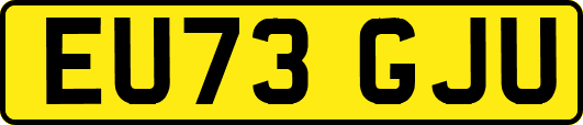 EU73GJU