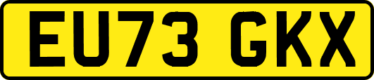 EU73GKX
