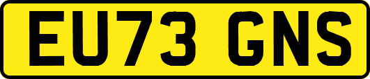 EU73GNS