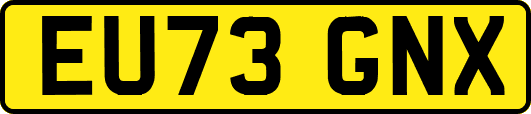 EU73GNX