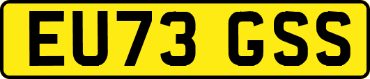 EU73GSS