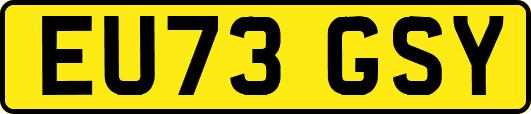 EU73GSY
