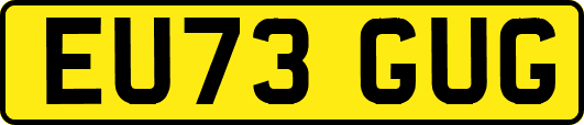 EU73GUG