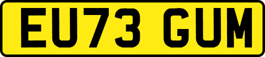 EU73GUM