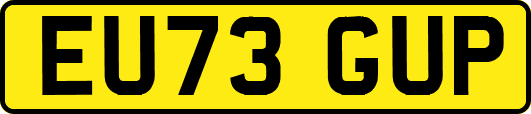EU73GUP