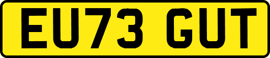 EU73GUT