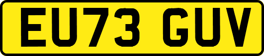 EU73GUV