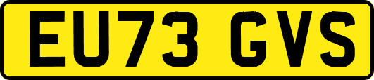 EU73GVS
