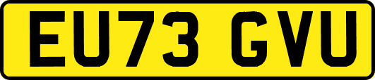 EU73GVU